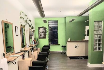 Salon de Coiffure( fond de commerce)à Vendre Plateau Mont Royal Montréal 